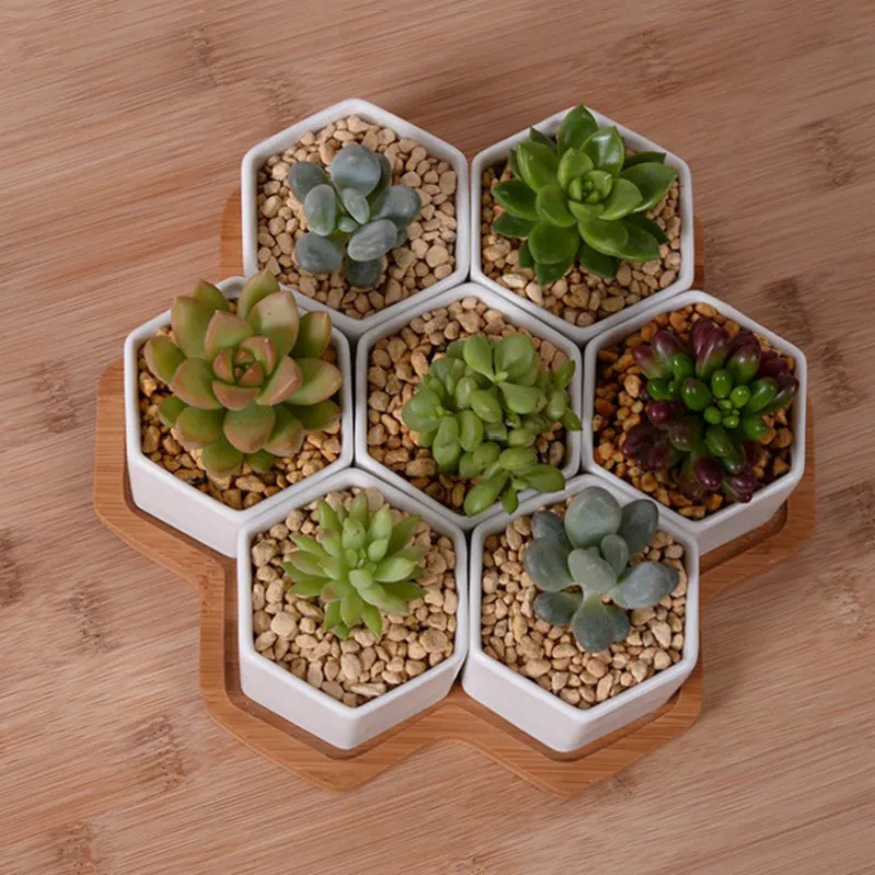 Set 4/7/9/10 Pot Bunga Segi En - Desk Setup White ulasan dan harga